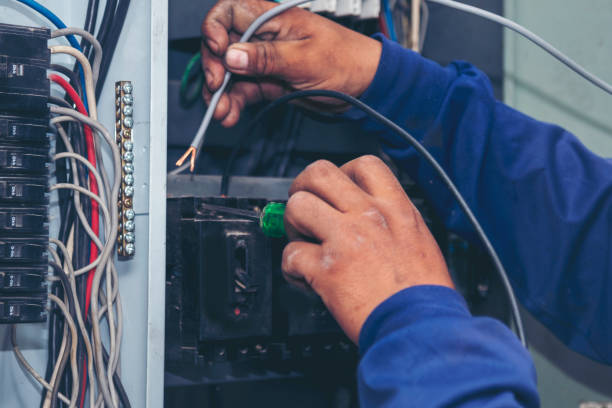 Best Electric Panel Repair  in Madill, OK